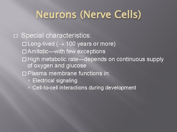 Neurons (Nerve Cells) � Special characteristics: � Long-lived ( 100 years or more) � Neurons (Nerve Cells) � Special characteristics: � Long-lived ( 100 years or more) �