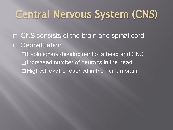 Central Nervous System (CNS) � � CNS consists of the brain and spinal cord