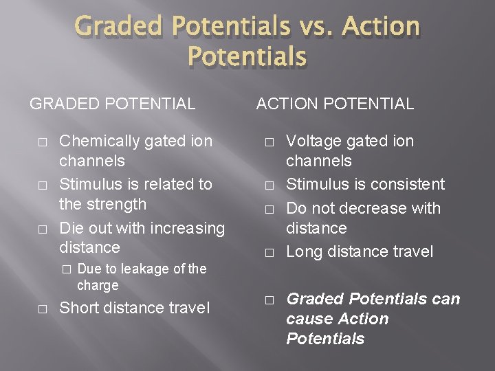 Graded Potentials vs. Action Potentials GRADED POTENTIAL � � � Chemically gated ion channels Graded Potentials vs. Action Potentials GRADED POTENTIAL � � � Chemically gated ion channels