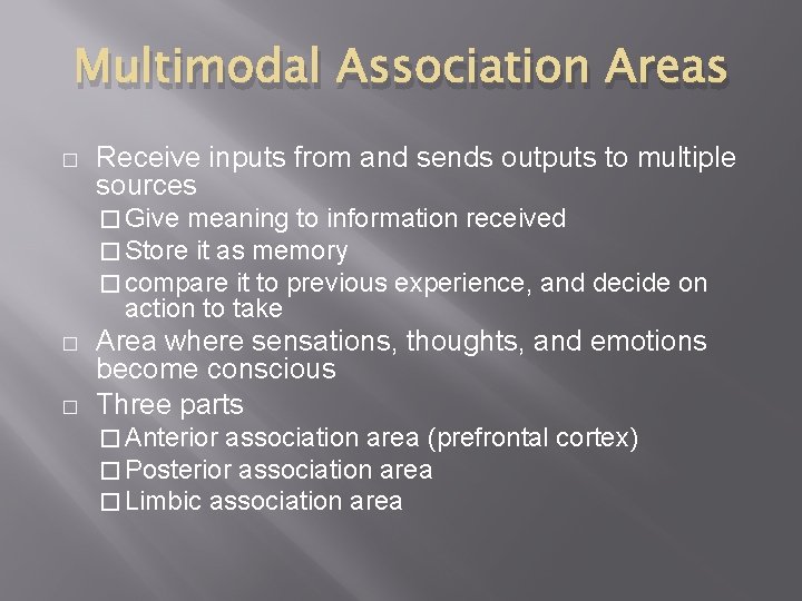 Multimodal Association Areas � Receive inputs from and sends outputs to multiple sources �