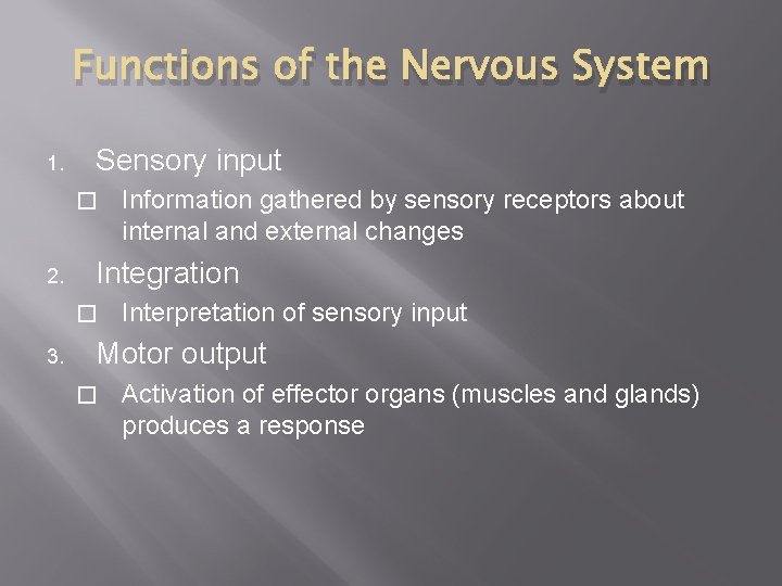 Functions of the Nervous System 1. Sensory input � 2. Integration � 3. Information