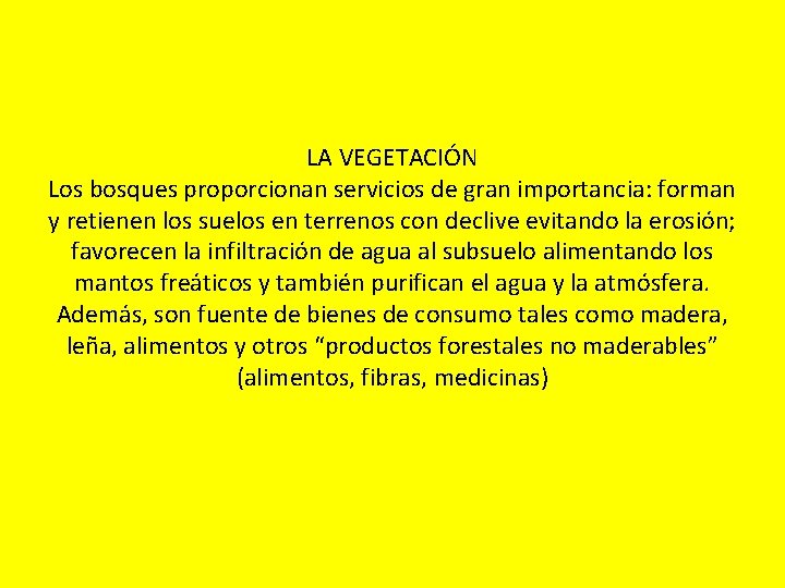 LA VEGETACIÓN Los bosques proporcionan servicios de gran importancia: forman y retienen los suelos