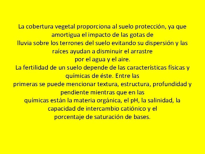 La cobertura vegetal proporciona al suelo protección, ya que amortigua el impacto de las