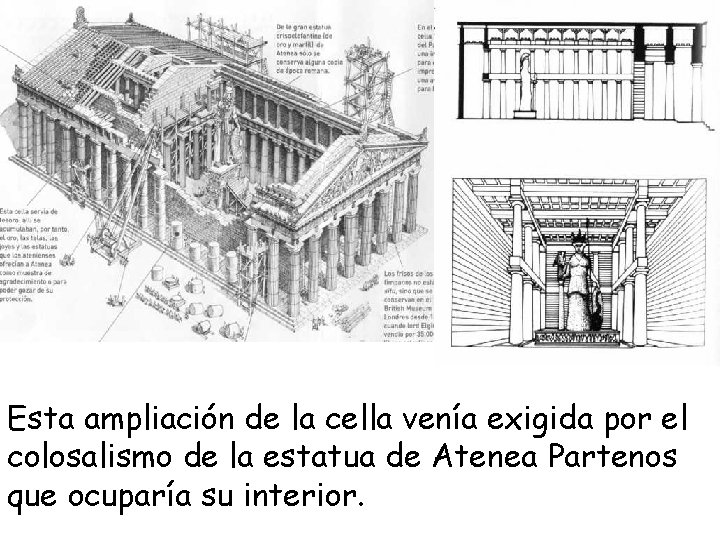 Planta del Partenón Esta ampliación de la cella venía exigida por el colosalismo de