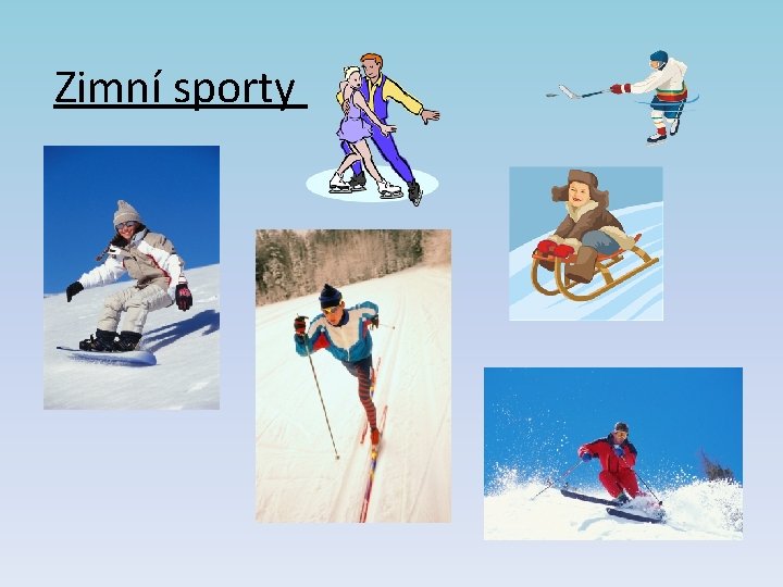 Zimní sporty 