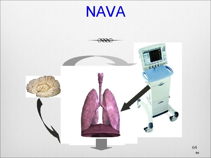 NAVA 64 64 