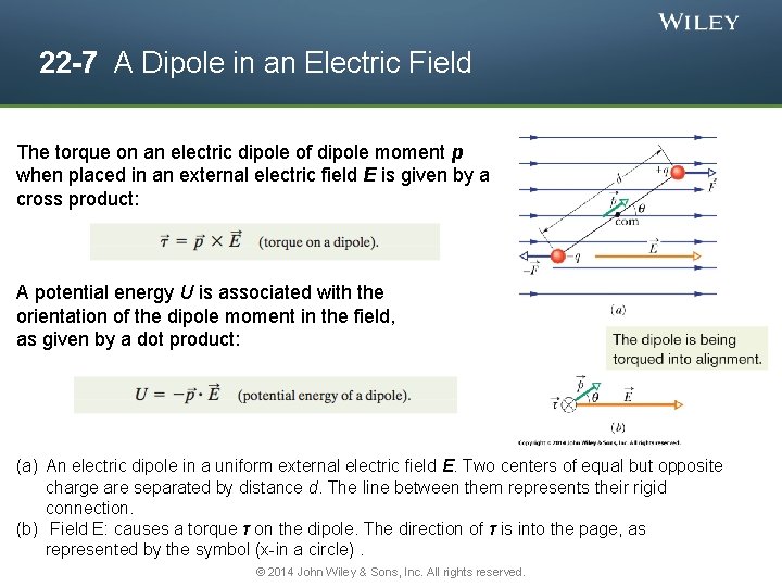 22 -7 A Dipole in an Electric Field The torque on an electric dipole