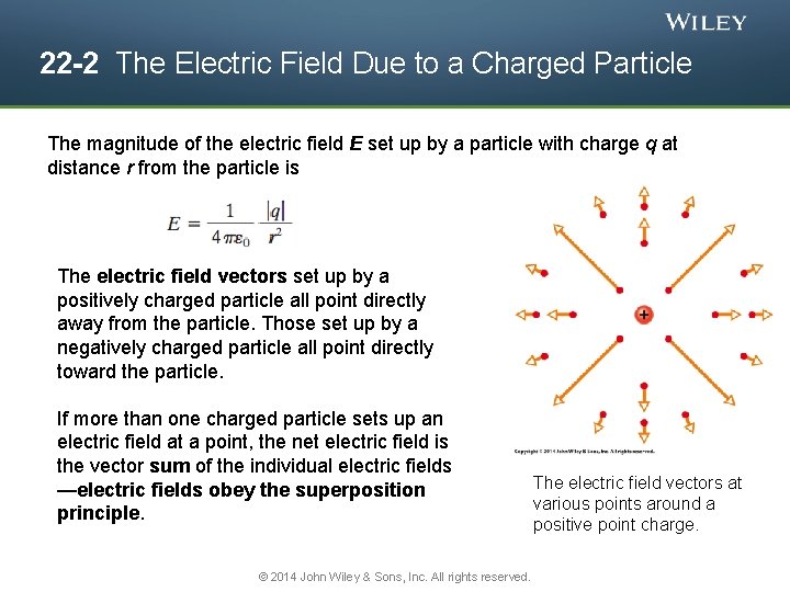 22 -2 The Electric Field Due to a Charged Particle The magnitude of the