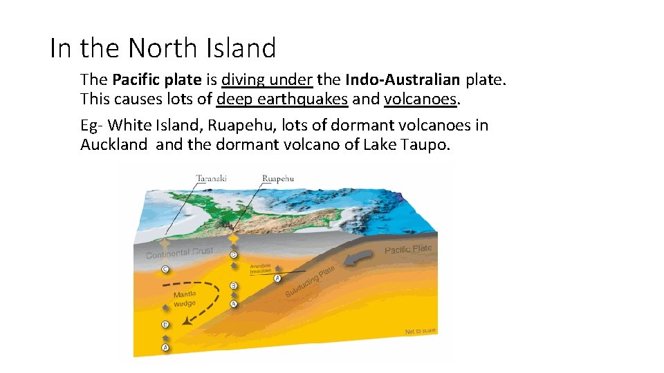 In the North Island The Pacific plate is diving under the Indo-Australian plate. This