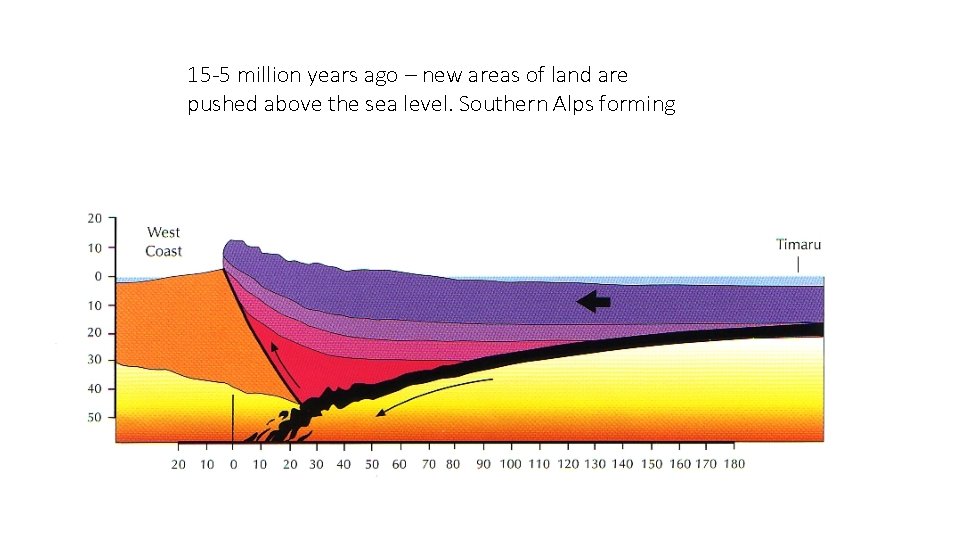 15 -5 million years ago – new areas of land are pushed above the