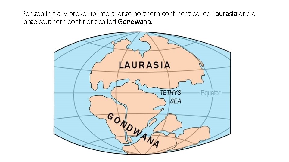 Pangea initially broke up into a large northern continent called Laurasia and a large