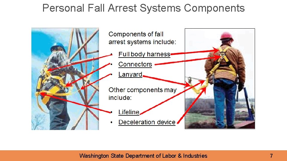 Personal Fall Arrest Systems Components Washington State Department of Labor & Industries 7 