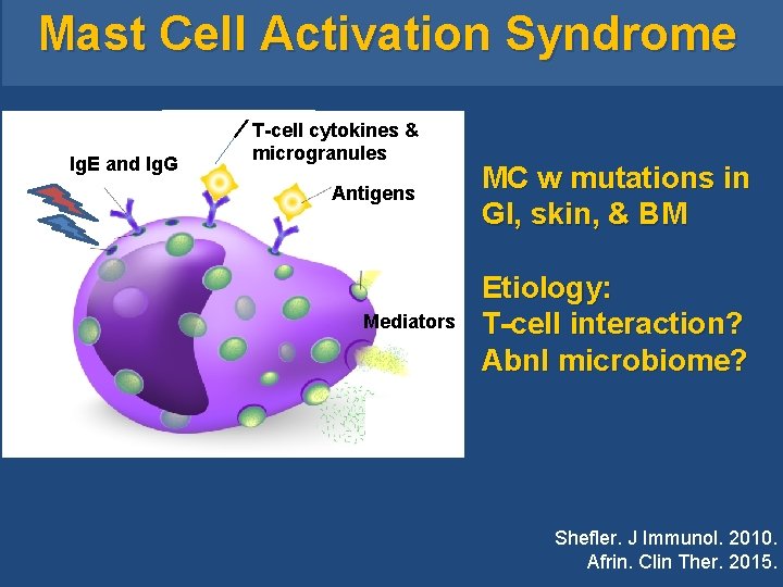 Mast Cell Activation Syndrome Ig. E and Ig. G T-cell cytokines & microgranules Mast Cell Activation Syndrome Ig. E and Ig. G T-cell cytokines & microgranules