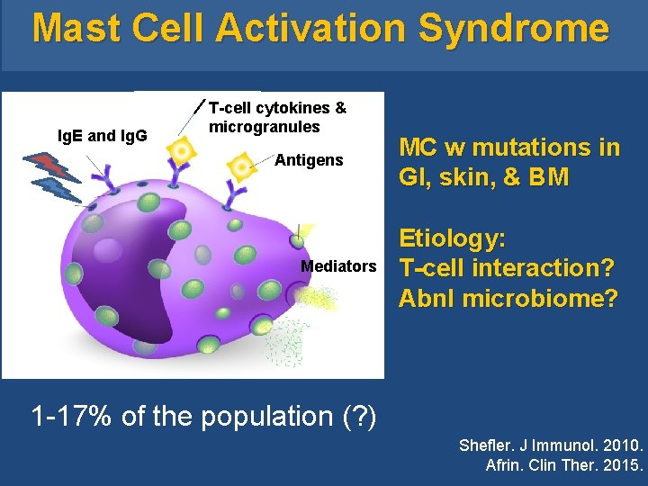 Mast Cell Activation Syndrome Ig. E and Ig. G T-cell cytokines & microgranules Mast Cell Activation Syndrome Ig. E and Ig. G T-cell cytokines & microgranules