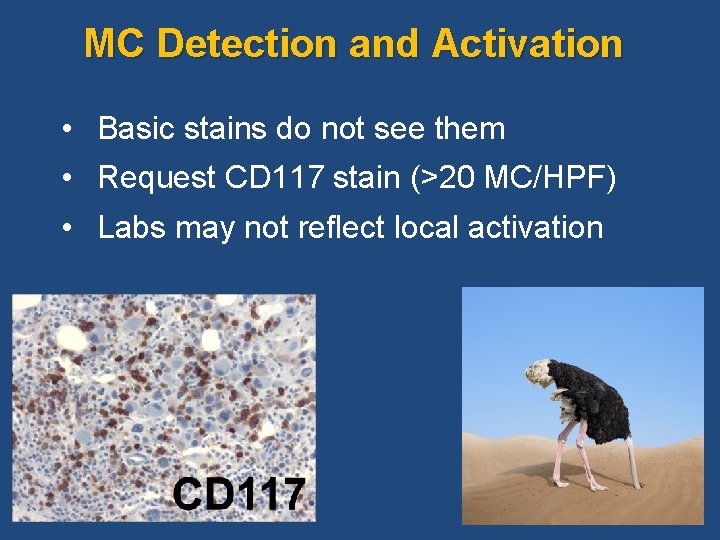 MC Detection and Activation • Basic stains do not see them • Request MC Detection and Activation • Basic stains do not see them • Request