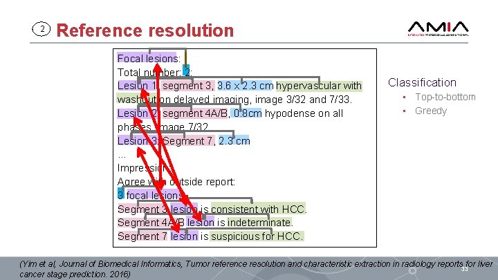 2 Reference resolution Focal lesions: Total number: 2: Lesion 1: segment 3, 3. 6