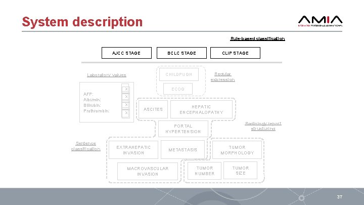 System description Rule-based classification AJCC STAGE Regular expression CHILDPUGH Laboratory values x AFP: Albumin: