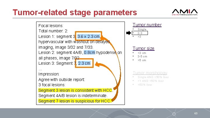 Tumor-related stage parameters Focal lesions: Total number: 2: Lesion 1: segment 3, 3. 6