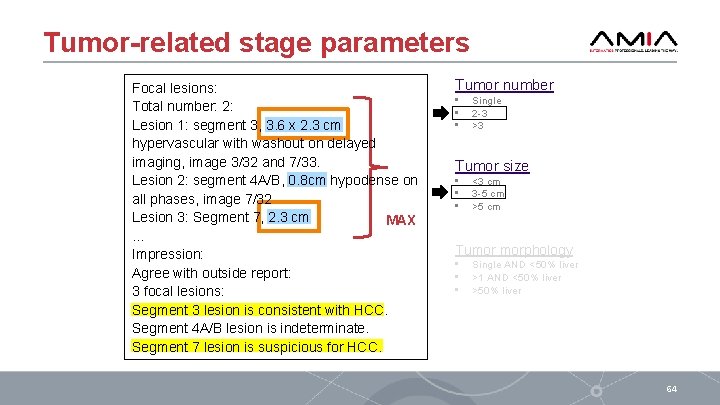 Tumor-related stage parameters Focal lesions: Total number: 2: Lesion 1: segment 3, 3. 6