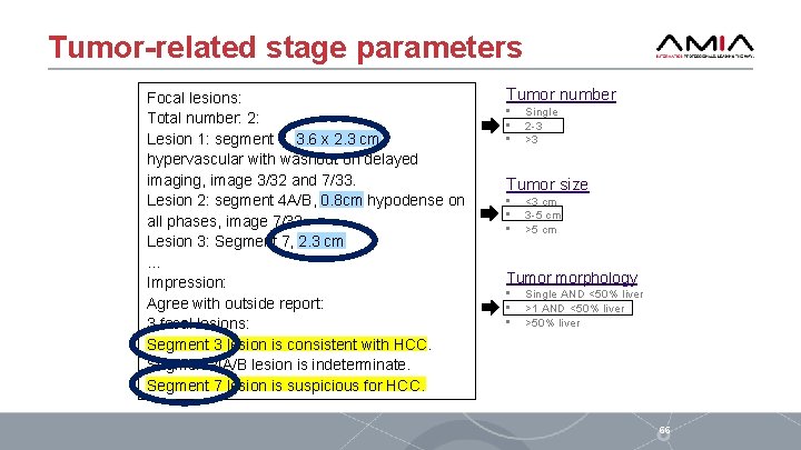 Tumor-related stage parameters Focal lesions: Total number: 2: Lesion 1: segment 3, 3. 6