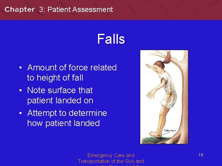 3: Patient Assessment Falls • Amount of force related to height of fall •
