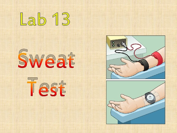 Lab 13 Sweat Test 