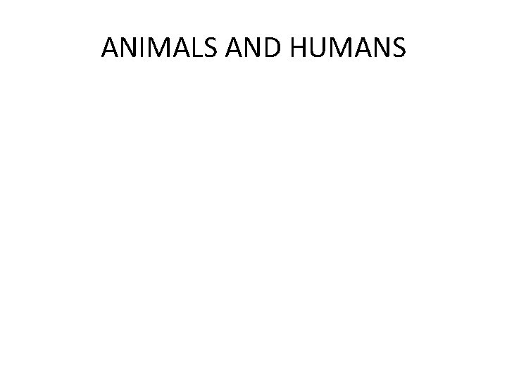 ANIMALS AND HUMANS 