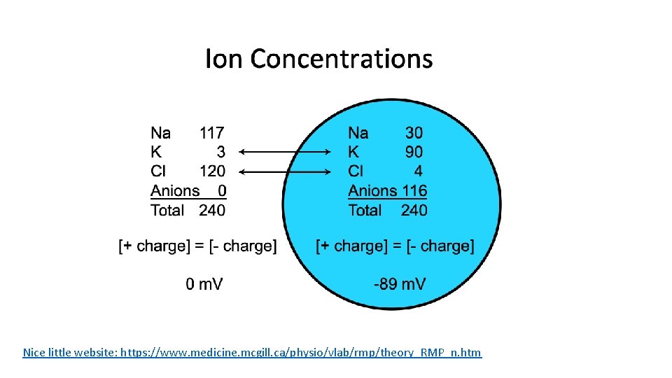 Nice little website: https: //www. medicine. mcgill. ca/physio/vlab/rmp/theory_RMP_n. htm 