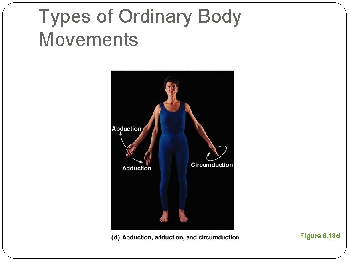 Types of Ordinary Body Movements Figure 6. 13 d 