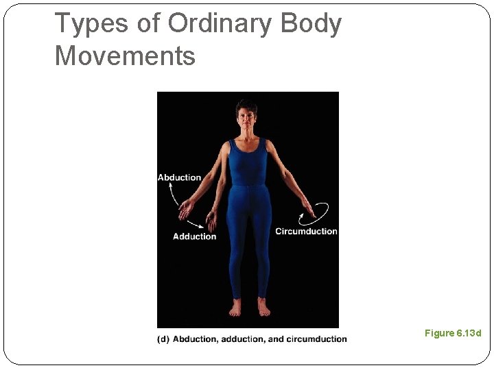 Types of Ordinary Body Movements Figure 6. 13 d 