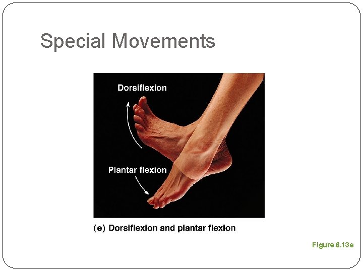 Special Movements Figure 6. 13 e 