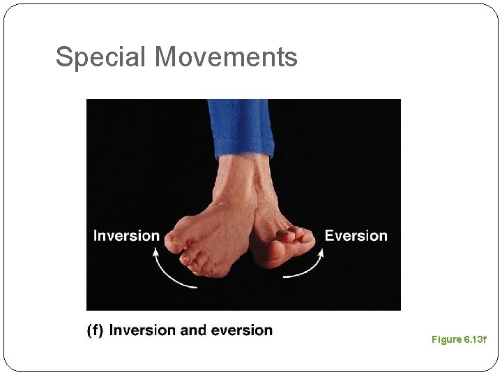 Special Movements Figure 6. 13 f 