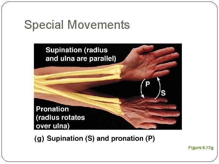 Special Movements Figure 6. 13 g 