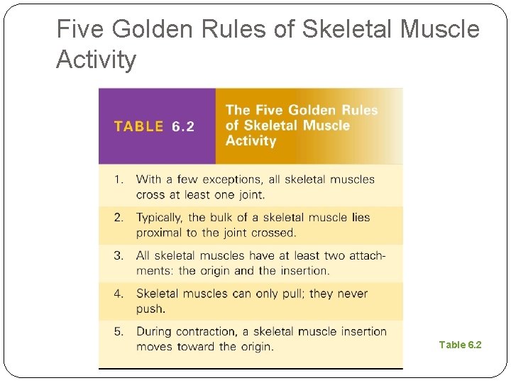 Five Golden Rules of Skeletal Muscle Activity Table 6. 2 