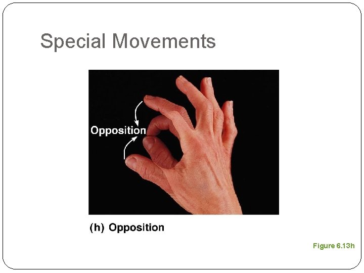 Special Movements Figure 6. 13 h 