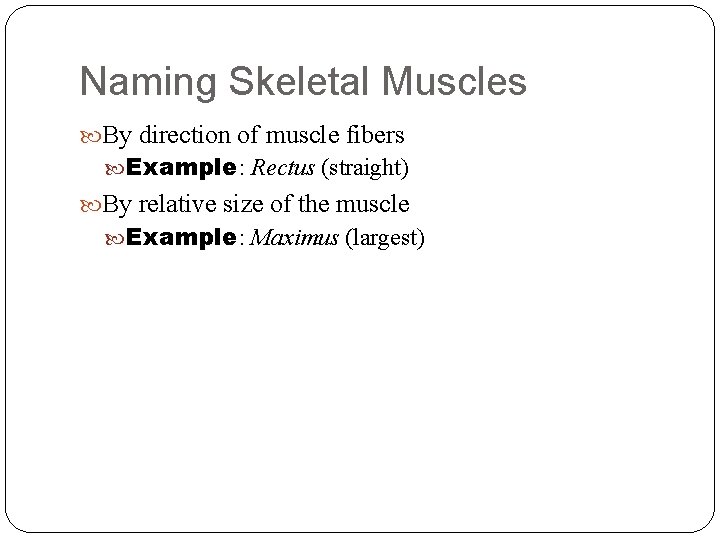 Naming Skeletal Muscles By direction of muscle fibers Example: Rectus (straight) By relative size