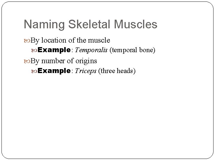 Naming Skeletal Muscles By location of the muscle Example: Temporalis (temporal bone) By number