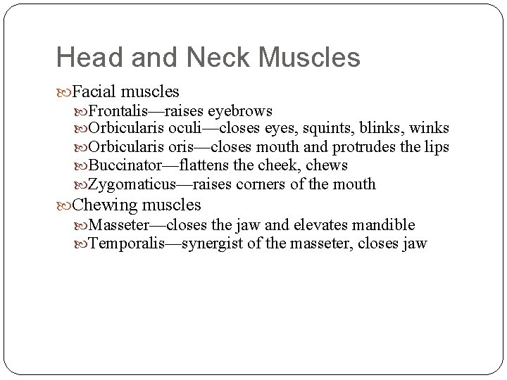 Head and Neck Muscles Facial muscles Frontalis—raises eyebrows Orbicularis oculi—closes eyes, squints, blinks, winks