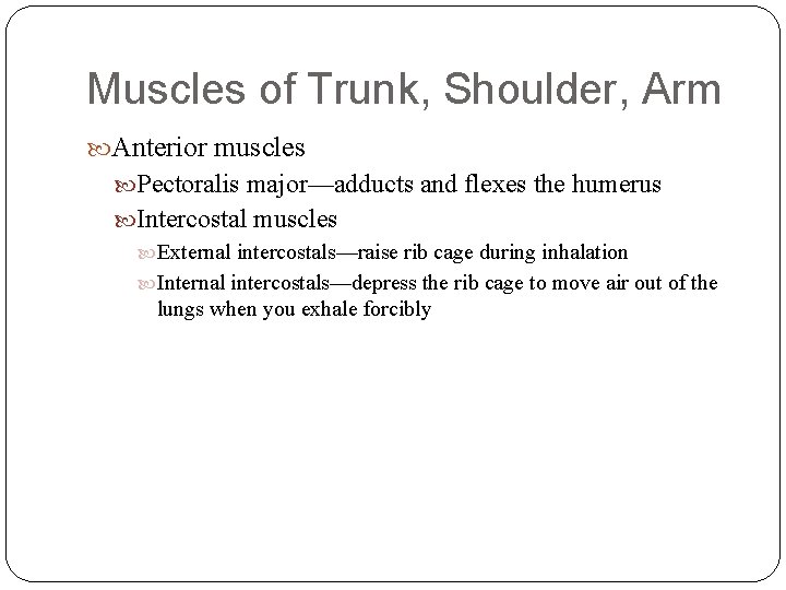 Muscles of Trunk, Shoulder, Arm Anterior muscles Pectoralis major—adducts and flexes the humerus Intercostal