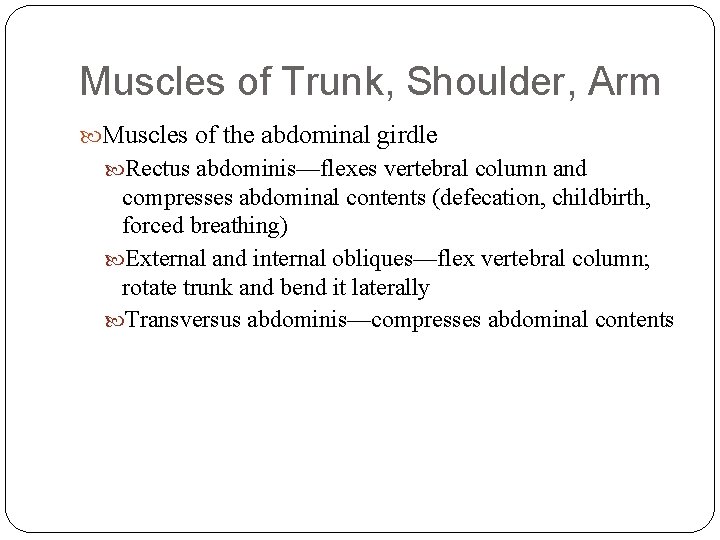 Muscles of Trunk, Shoulder, Arm Muscles of the abdominal girdle Rectus abdominis—flexes vertebral column