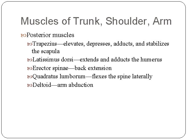 Muscles of Trunk, Shoulder, Arm Posterior muscles Trapezius—elevates, depresses, adducts, and stabilizes the scapula