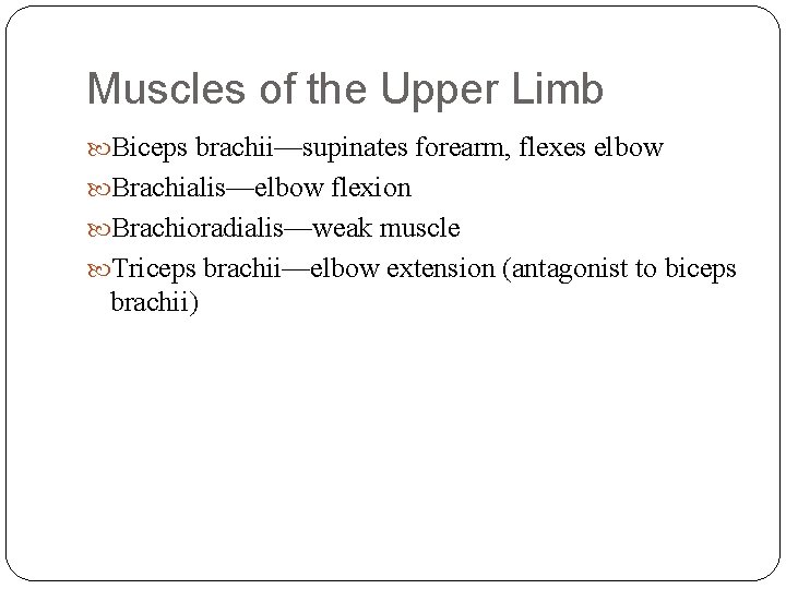 Muscles of the Upper Limb Biceps brachii—supinates forearm, flexes elbow Brachialis—elbow flexion Brachioradialis—weak muscle