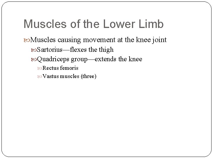 Muscles of the Lower Limb Muscles causing movement at the knee joint Sartorius—flexes the