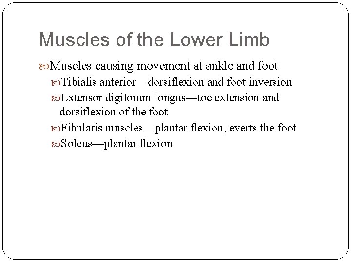 Muscles of the Lower Limb Muscles causing movement at ankle and foot Tibialis anterior—dorsiflexion