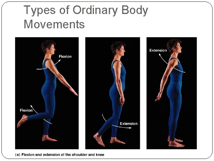 Types of Ordinary Body Movements 