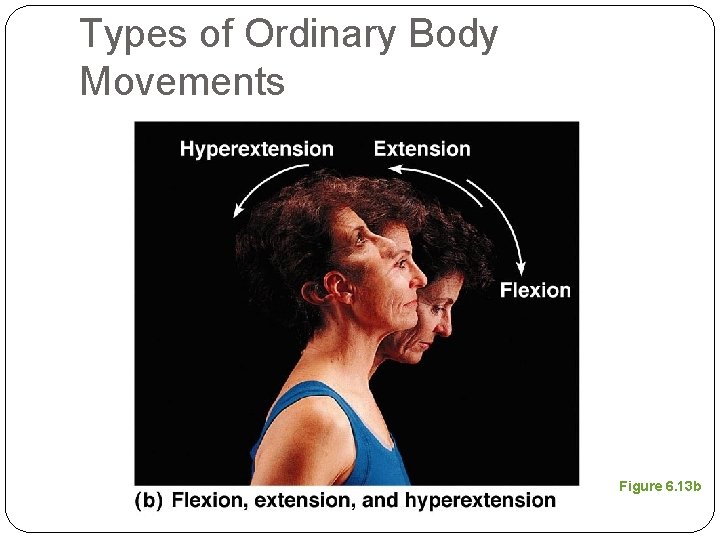Types of Ordinary Body Movements Figure 6. 13 b 