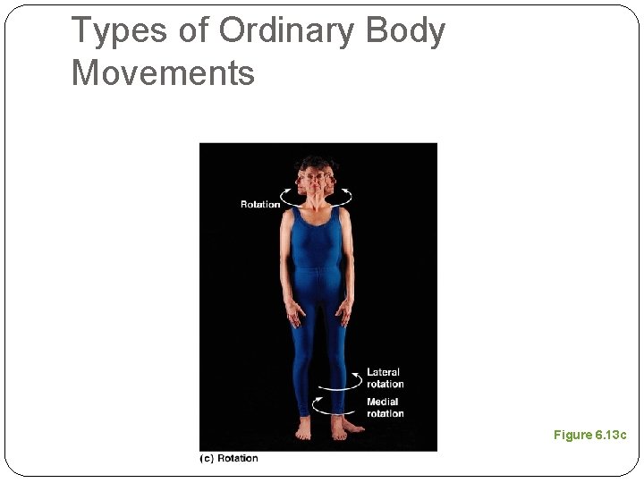 Types of Ordinary Body Movements Figure 6. 13 c 