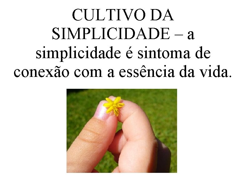 CULTIVO DA SIMPLICIDADE – a simplicidade é sintoma de conexão com a essência da