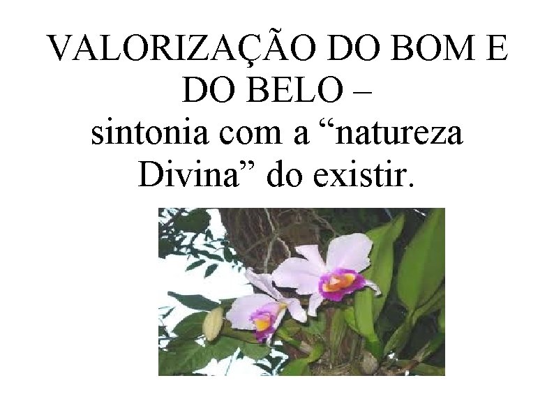 VALORIZAÇÃO DO BOM E DO BELO – sintonia com a “natureza Divina” do existir.