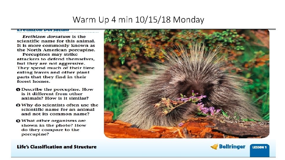 Warm Up 4 min 10/15/18 Monday 